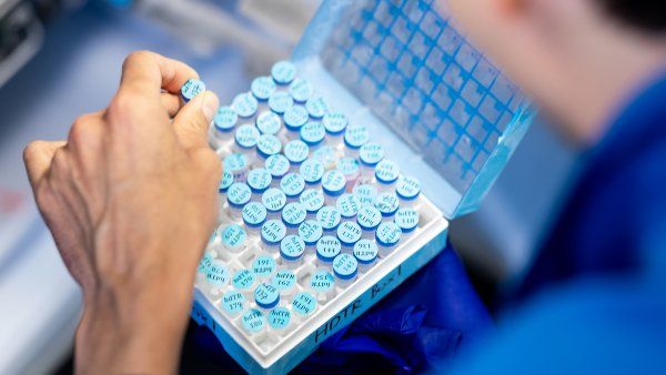 a researcher in the lab of Alex Marson works on CRISPR research