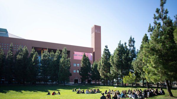 Students relaxing on lawn