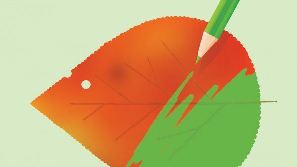 Illustration of a red, autumnal leaf, with a green pencil coloring over the leaf and turning it green.