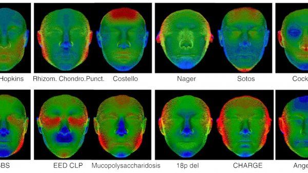 Two rows of 3D facial scans