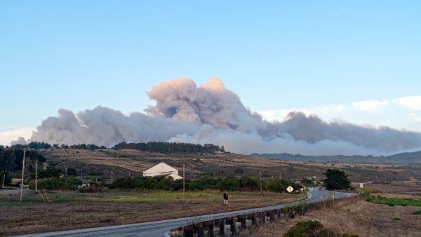 smoke from a wildfire 