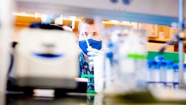 student does research in a lab