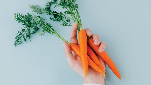 Photo of a doctor’s hand in a white coat holding a bunch of carrots on a blank blue background.