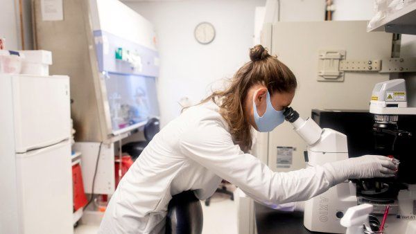 researcher looks into a microscope