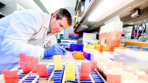 David Solomon (left) extracts DNA from brain tumor tissue for genomic testing in a lab. In the forefront, there are blue testing trays with yellow and red notes sticking out. 