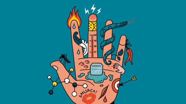 Illustration of the front of a hand with various stimuli on it, including a fire, ice, mosquito, a feather, a snake, chili peppers, itch, pain, and a kiss.