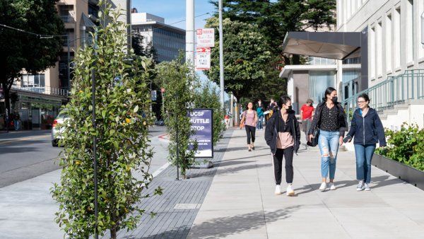 Small trees line a sidewalk at the UCSF Parnassus campus. Passersby walk on the sidewalk.