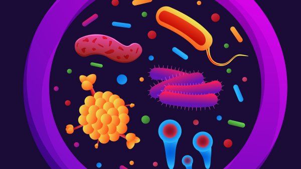 An illustration of a magnifying glass with several bacterium in view of the lense