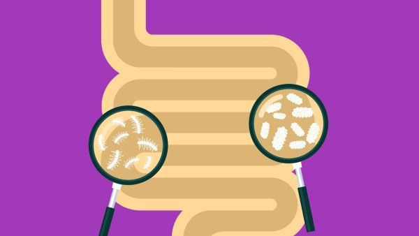 An illustration of a large intestine, with two magnifying glasses focusing on white microbes