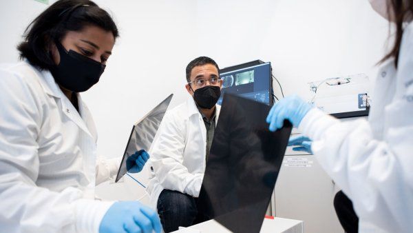 Three scientists in lab coats and face masks prepare a maze for a study that involves voles.