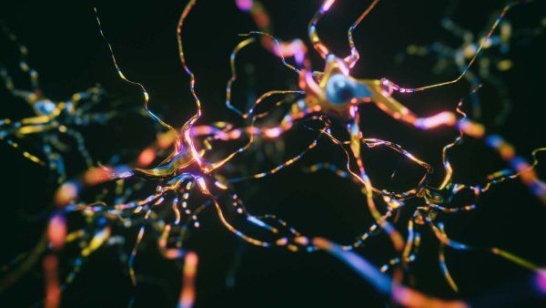 A 3D model of neurons firing