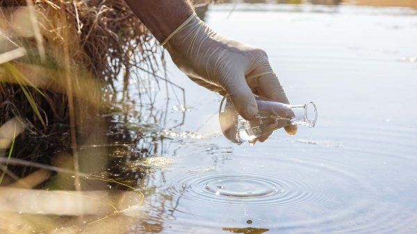 A gloved hand dips a laboratory flask into a lake to collect a water sample for testing.