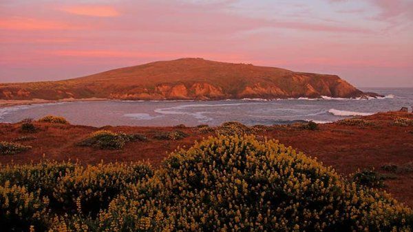 Bodega Bay at sunset