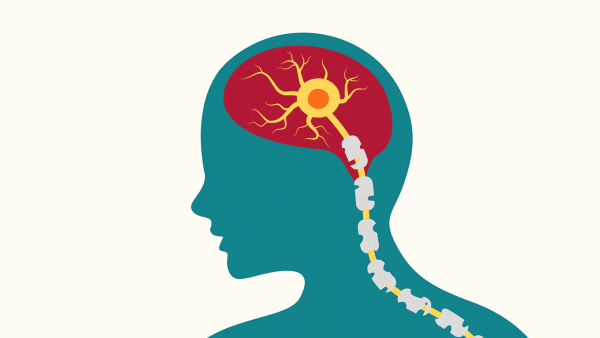 A graphic illustration of a silhouette featuring the spinal cord and a neuron in the brain. The illustration depicts mulitple sclerosis.