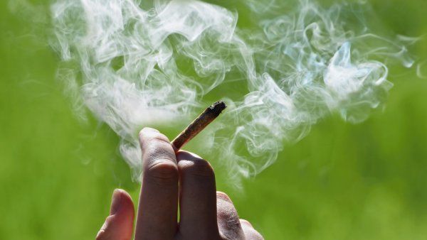 A person's hand holding a smoking joint between their fingers against a green background.