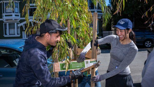 Two volunteers, a young woman and man, plant a small tree on a sidewalk in San Francisco under a sunny blue sky.