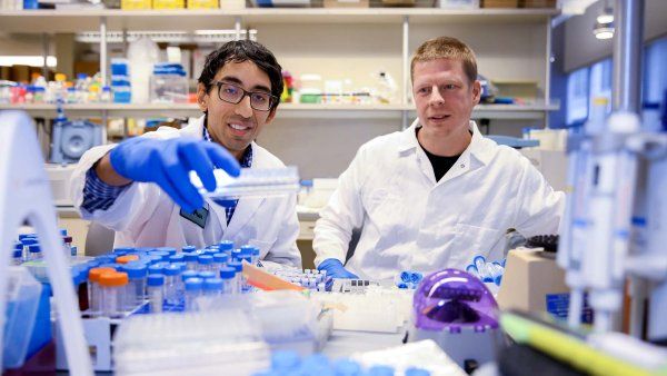 Arun Wiita and Sami Tuomivaara smile as they sit at a lab bench and examine a petri dish.