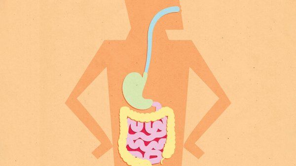 Illustration of the gastrointestinal tract