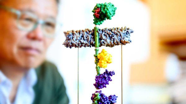 The foreground shows a stack of colorful molecule models on a stand, and researcher Wendell Lim observes them closely in the background.