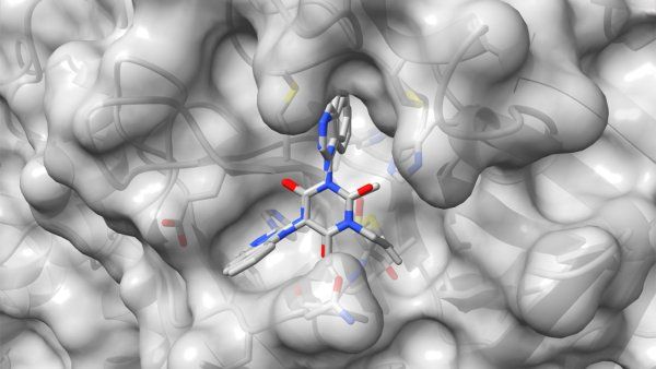 A 3D model showing a drug binding to a viral enzyme.