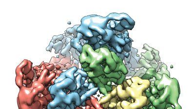 a molecular visualization of the TRPV1 protein