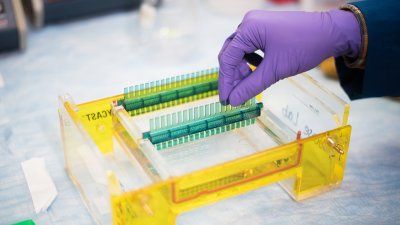 laboratory_work.jpg