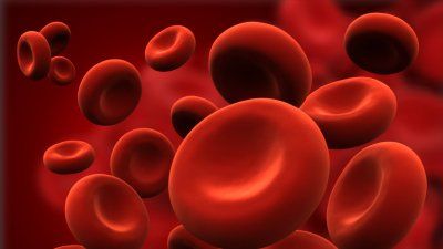 red-blood-cells.jpg