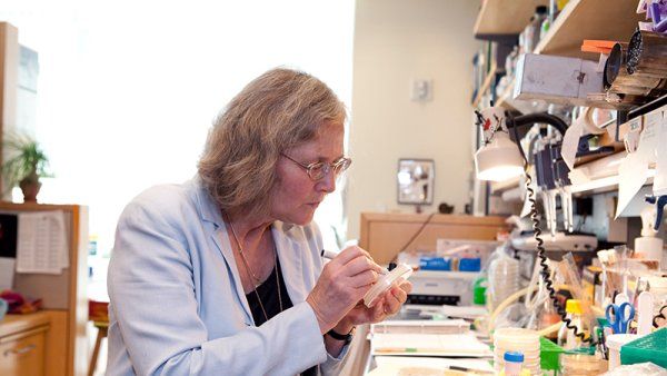 Elizabeth Blackburn sits at a lab bench while examining a petri dish with a utensil.