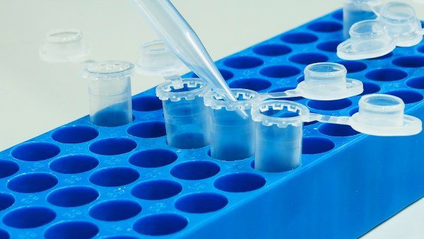 genetic_test_testtubes.jpg