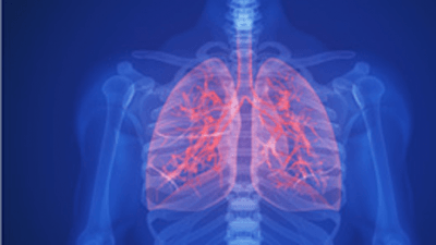 lungs-ilustration.png