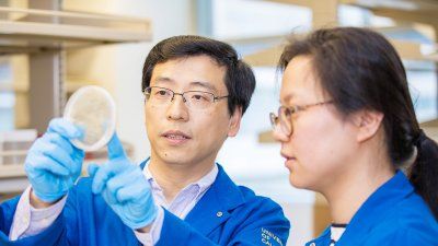 Lei_Wang_2017_NIH.jpg