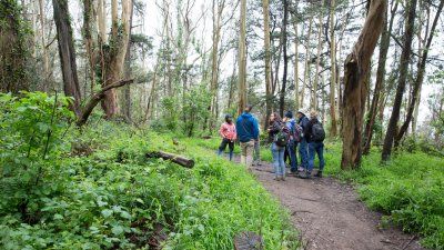 Sutro-Wildflower-Walk.jpg