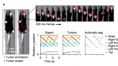 Zev_Gartner_Lab_mouse_chart.png