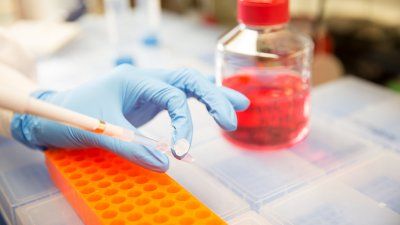cell_cultures_antibiotics.jpg