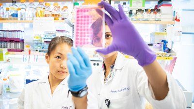 immunology_working_in_lab.jpg