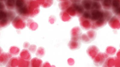 red_blood_cells.jpg