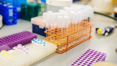 test tubes and vials on a table in a laboratory