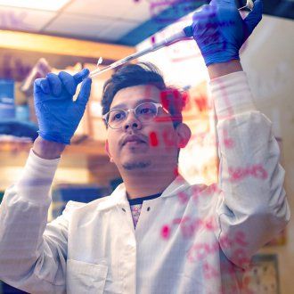 A researcher pipetting in the Engel Lab