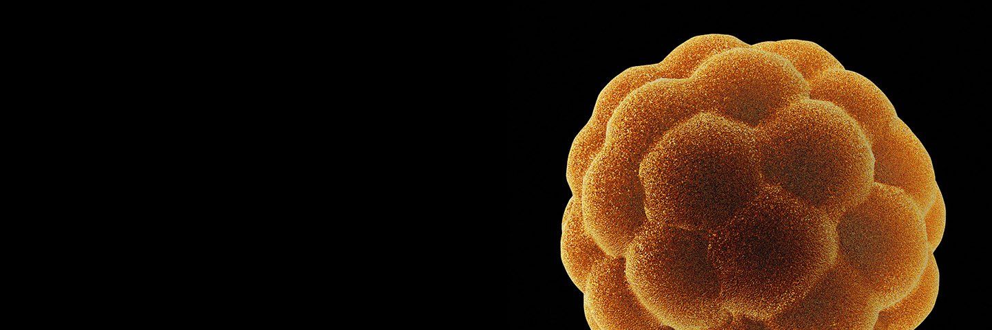 Illustration of an aging cell in orange with a fuzzy surface covered in nodules