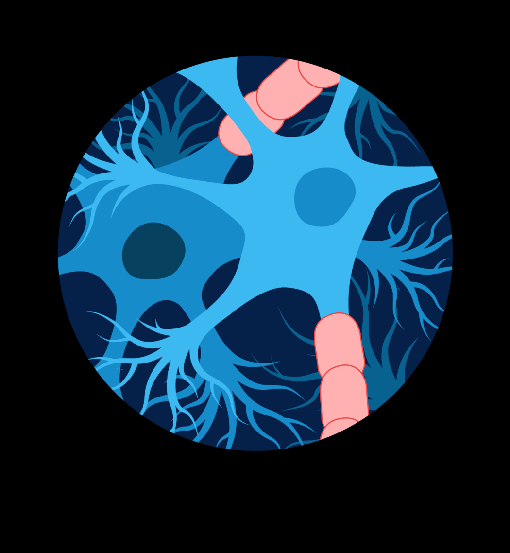 An illustration of neurons and myelin, the protective covering of neurons.